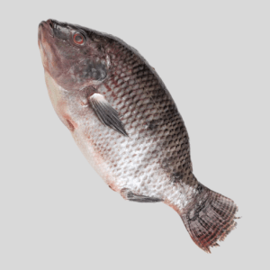 Frozen Tilapia fish available at correct African Food Market, Toronto